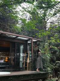 峨眉七里坪住童話森林樹屋偶遇大山精靈梅花鹿
