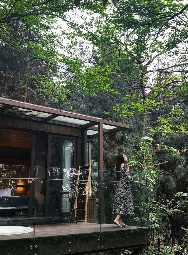 峨眉七里坪住童話森林樹屋偶遇大山精靈梅花鹿