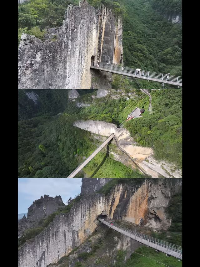 震驚洞見816真的好讚！