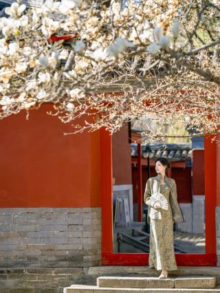 Changchun Wanshou Temple | Pray for blessings, copy scriptures and eat vegetarian meals