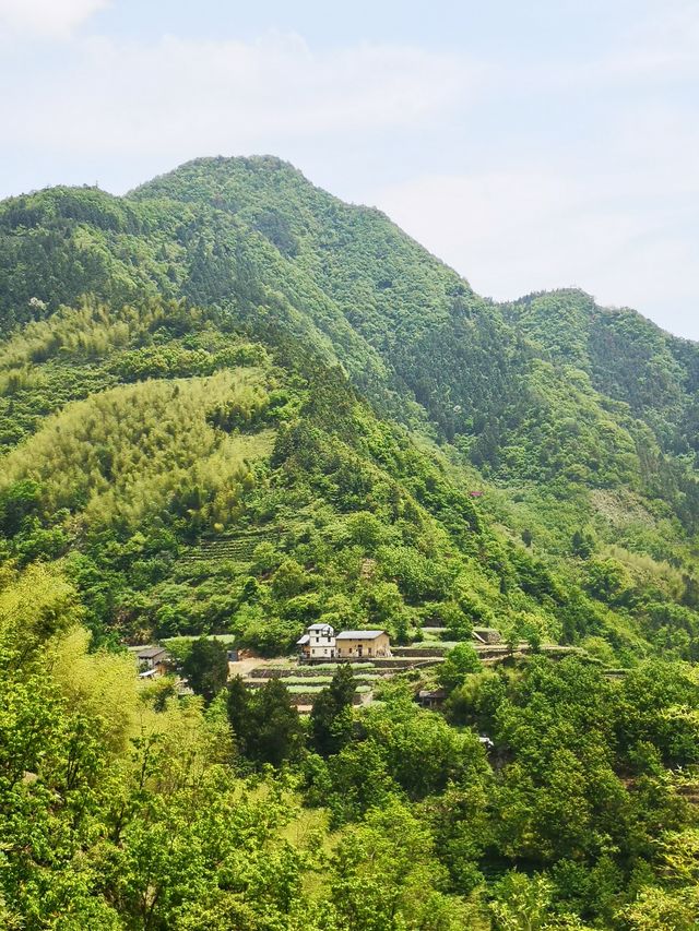 自駕白坪天路丨浙皖交界自駕遊