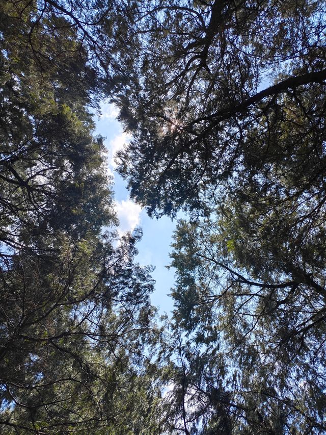 雲頂石城—慈雲寺四月體驗