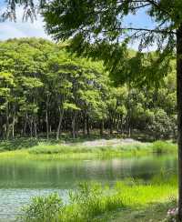 虎丘濕地公園