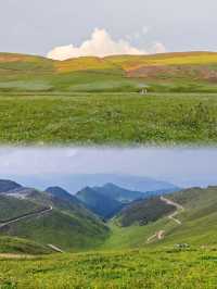 五月等我哋奔向昆明嘅「雲端花海牧場」