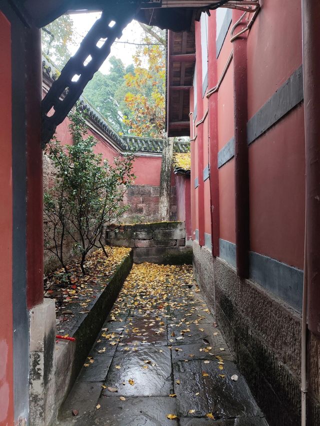 巴渝大地驚現千年瑰寶，究竟藏着什麼奧秘？