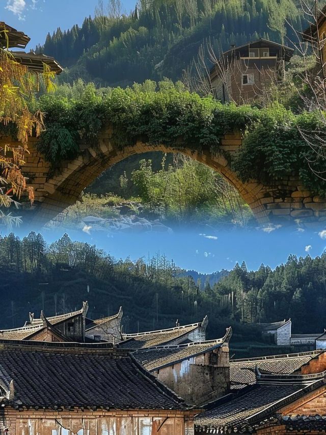 衝上熱搜！松陽古村，這樣玩才超爽！