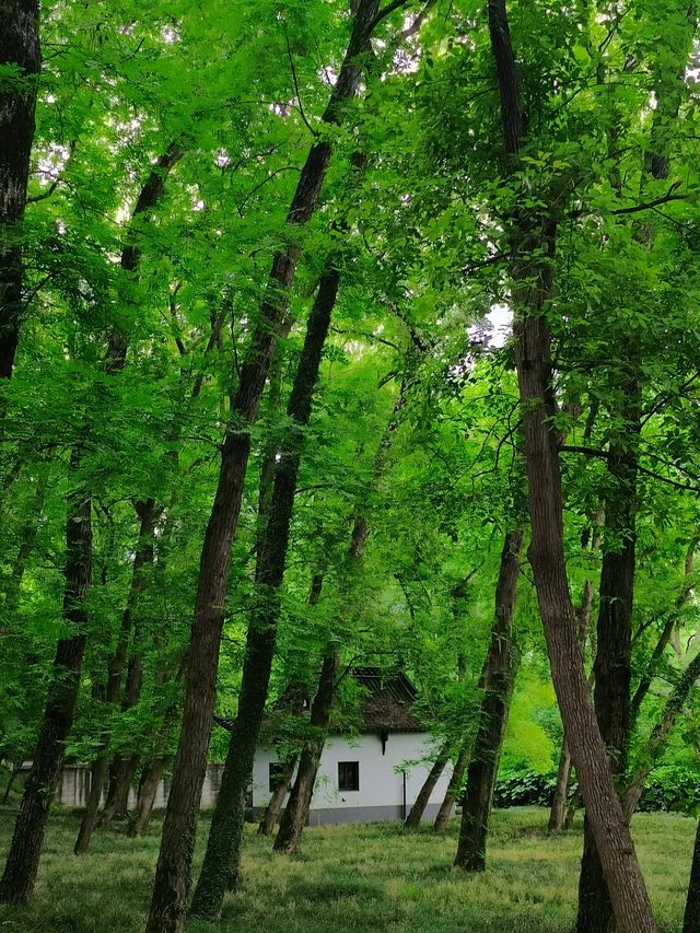 馬鞍山旅遊必備攻略（超全）
