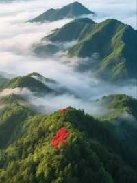 紅色聖地與綠色奇觀：2025井岡山深度旅遊全攻略