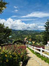 The beautiful  Sirao Gardens 