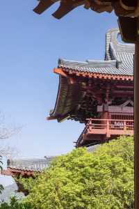 縉雲旅遊｜誤入仙俠世界|縉雲仙都超全攻略