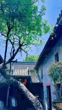 鄭州旅遊攻略