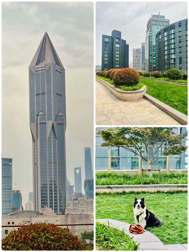 Secret Garden in Taikoo Hui Mall - A Pet Haven