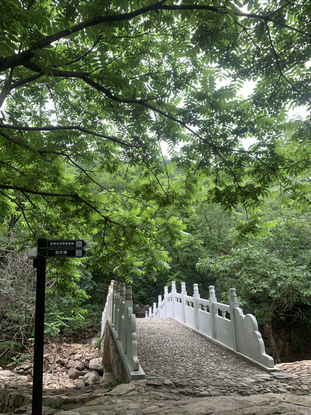 青山溪水嘅梨木台
