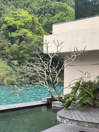 Taipei's Hidden Gem for Relaxation! Wulai Carbonated Hot Spring Town, a Quick Escape to Hakone.