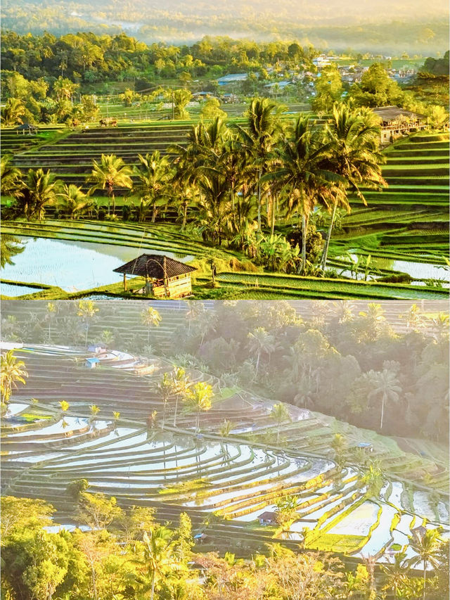 烏布梯田秘境，周董同款《稻香》取景地