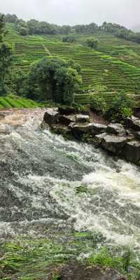 跟風成功！今次我踏入咗雨天行山嘅仙境！