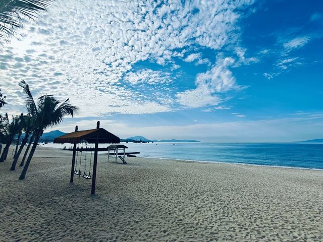 打卡深圳玫瑰海岸玫瑰酒店