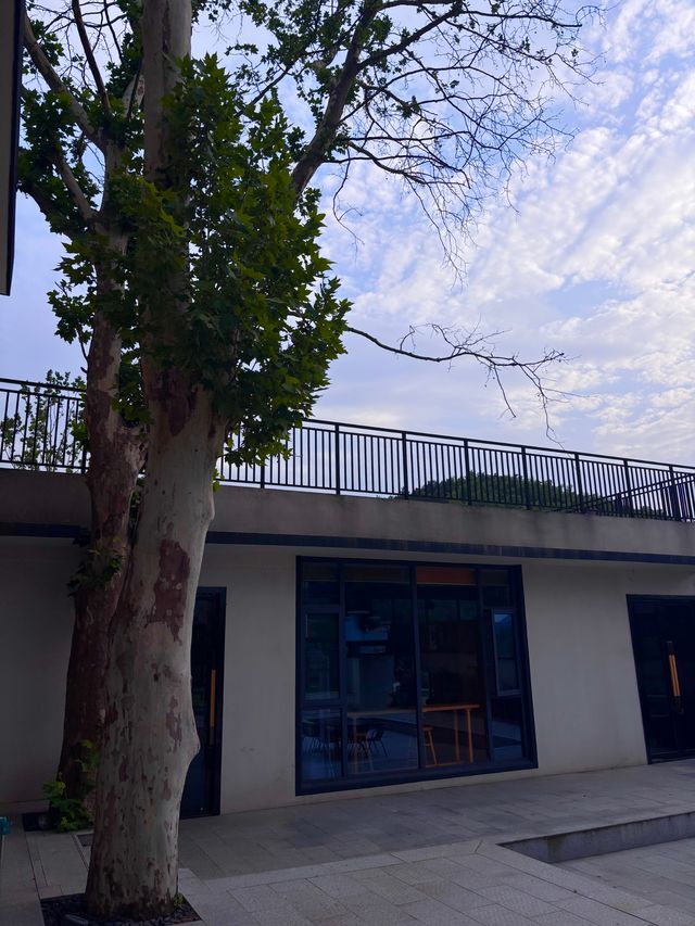 去過咁多城市，最最懷念嘅係<少間.梧桐下民宿>