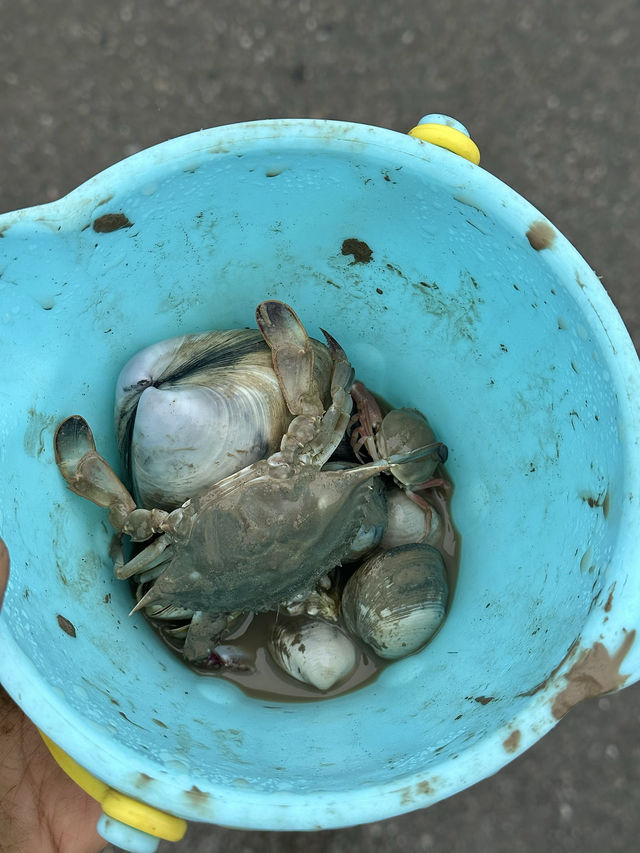 江蘇人有自己嘅「小三亞」！趕海玩水真係好開心！