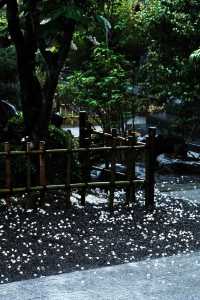 靜岡3日2夜｜東京隔籬嘅治癒天堂