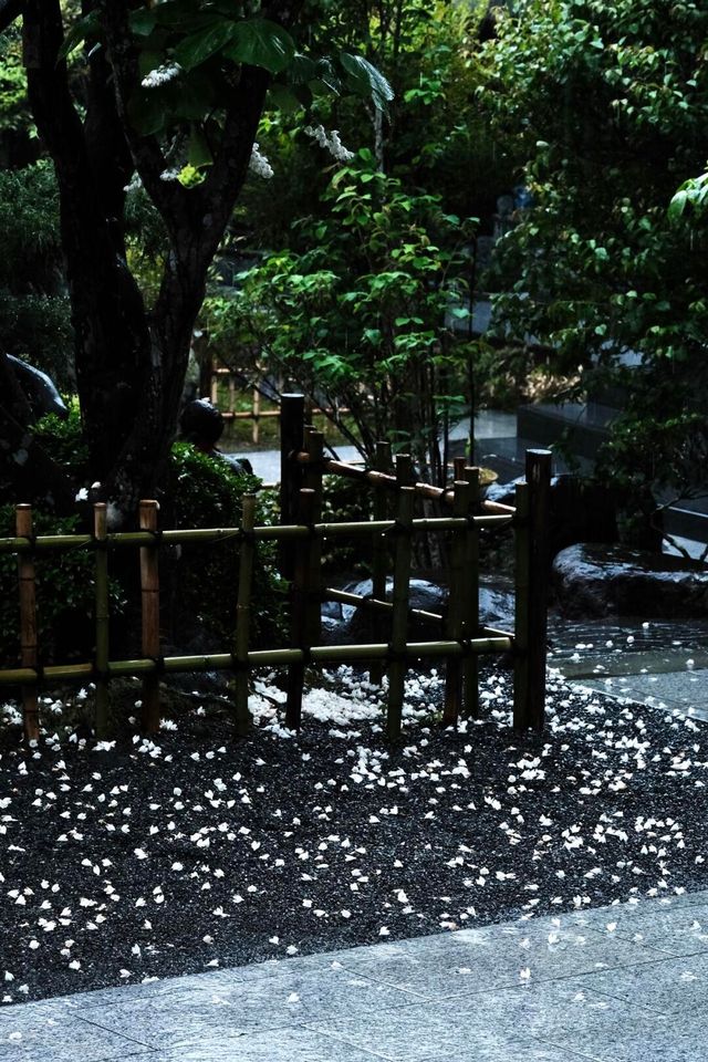 靜岡3日2夜｜東京隔籬嘅治癒天堂