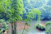 樂山美拉酒店與沐川竹海的邂逅