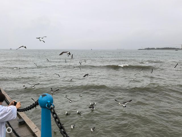 演唱會已成為城市文旅又一張名片
