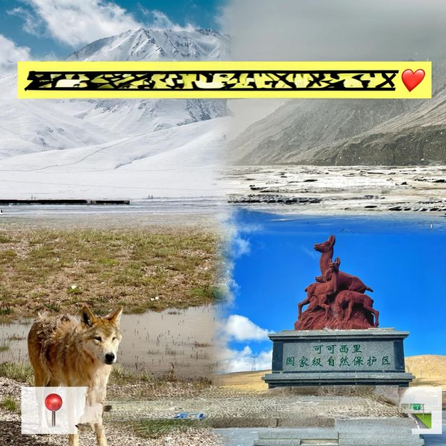 《可可西里：中國最後的神秘無人區》