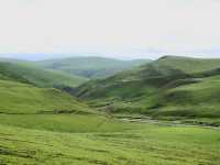 🚗 Into the Green: A Scenic Journey from Ngawa to Mai’erma 🌿