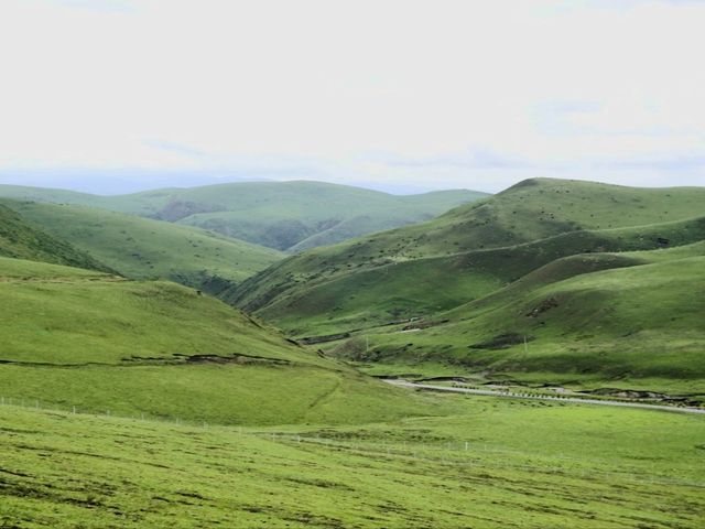 🚗 Into the Green: A Scenic Journey from Ngawa to Mai’erma 🌿
