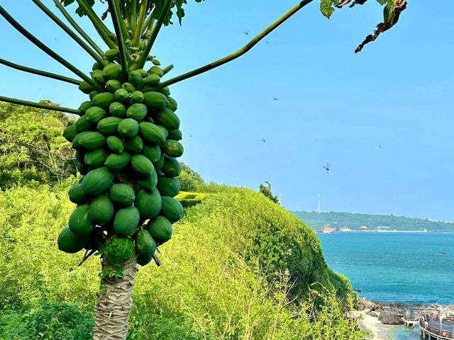 涠洲島 | 我的超完美旅行秘笈大公開
