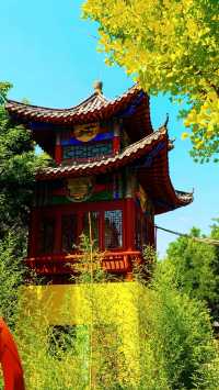 無棣大覺寺，清靜有底蘊，散心好去處