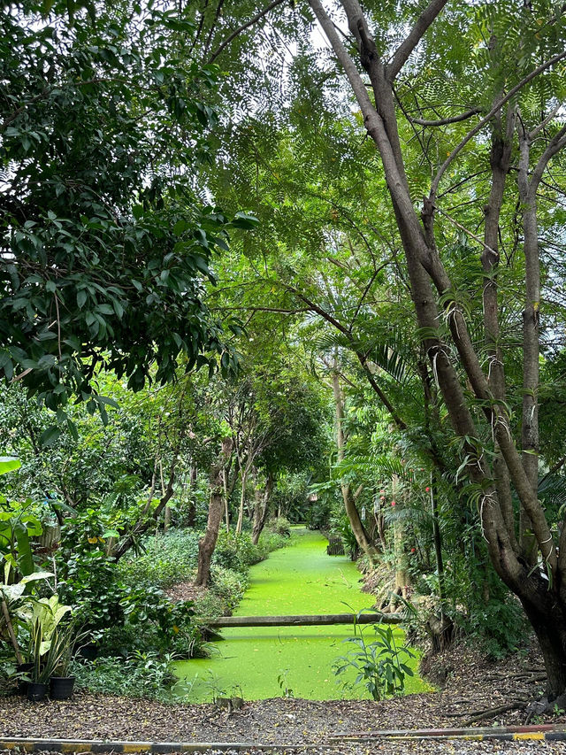 🌿曼谷綠意爆棚咖啡廳！雨天聽雨吃泰餐直接治癒💦