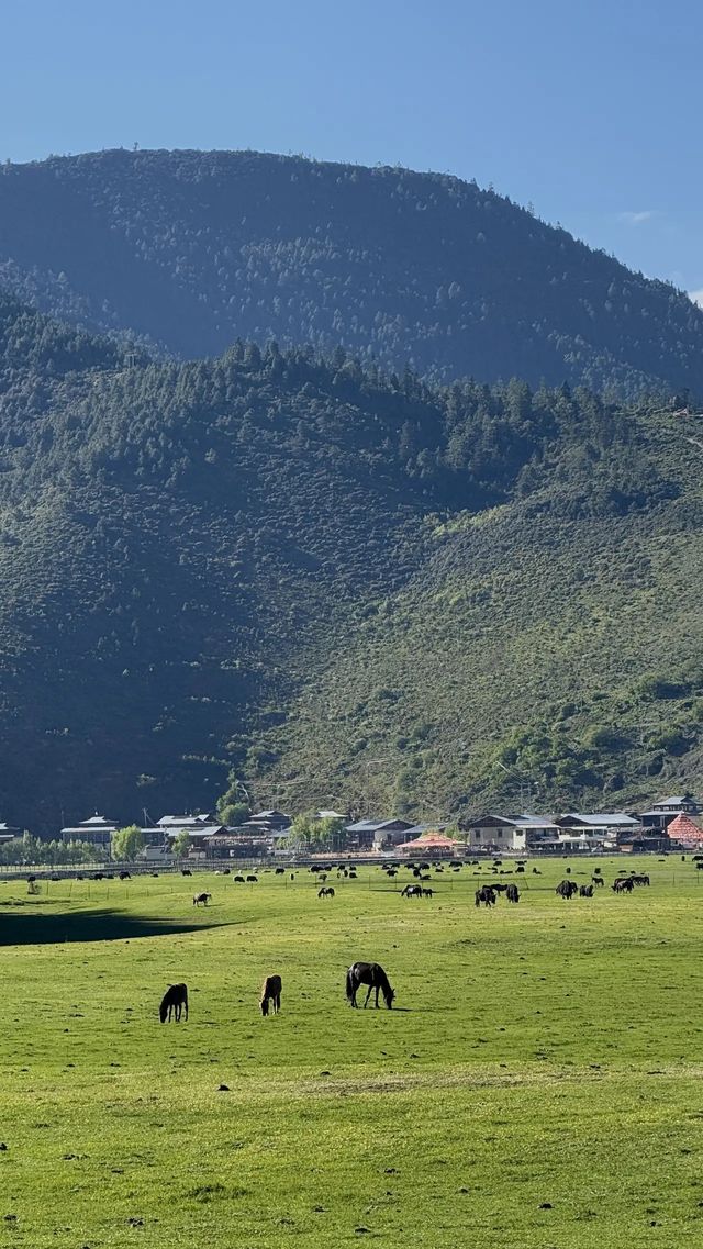 高考後治癒之旅，畢業旅行嚟雲南！