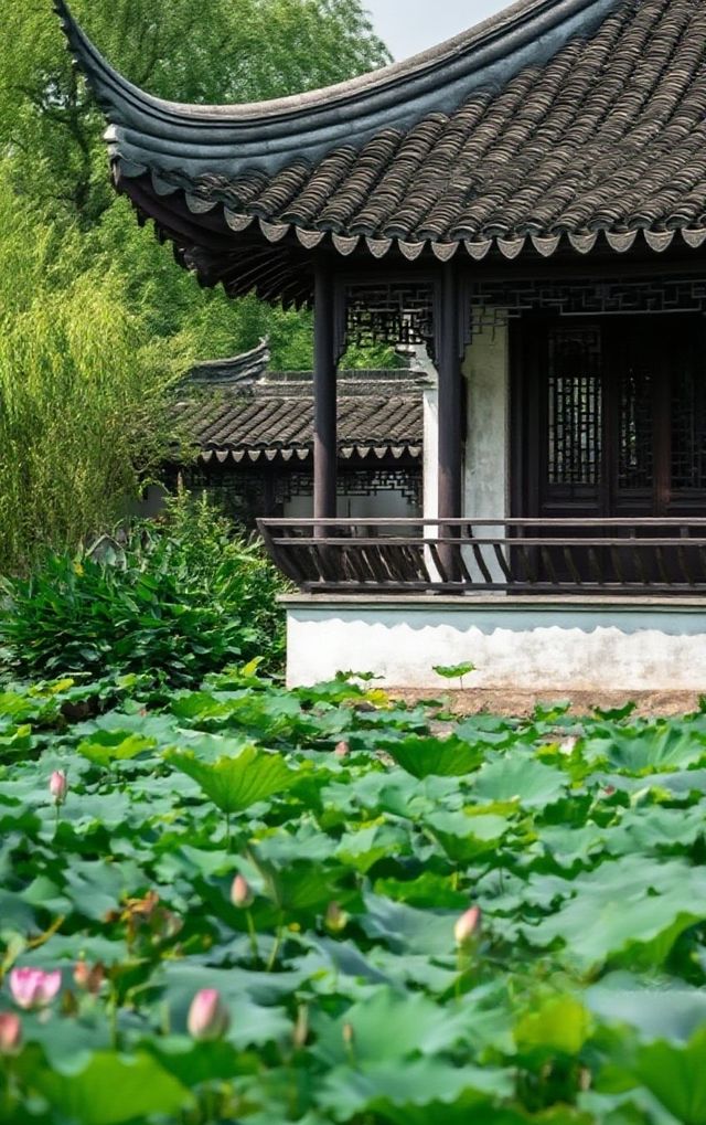 呈坎夏荷記：喺徽州八卦村裡，與一池荷花共生嘅千年時光