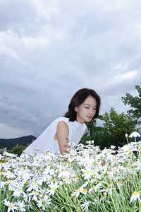 麗江隱世民宿小院子抬頭就是雪山！