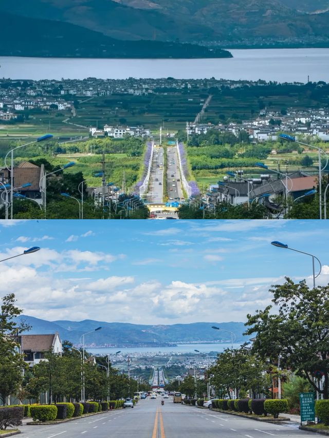 【蒼洱大道