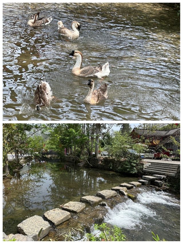 剛從雲舍村返嚟，講啲難聽嘅大實話