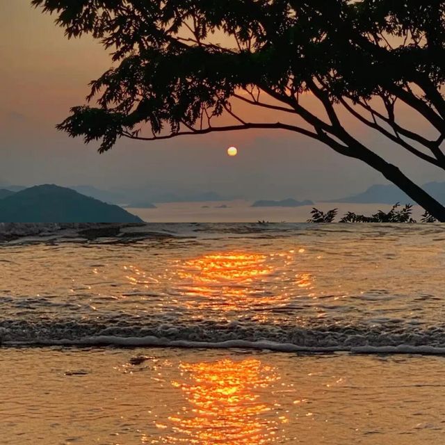 舟山朱家尖，解鎖夏日海島度假新玩法 