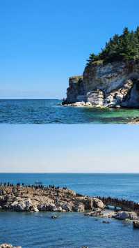 養馬島已回我只想講啲大實話……