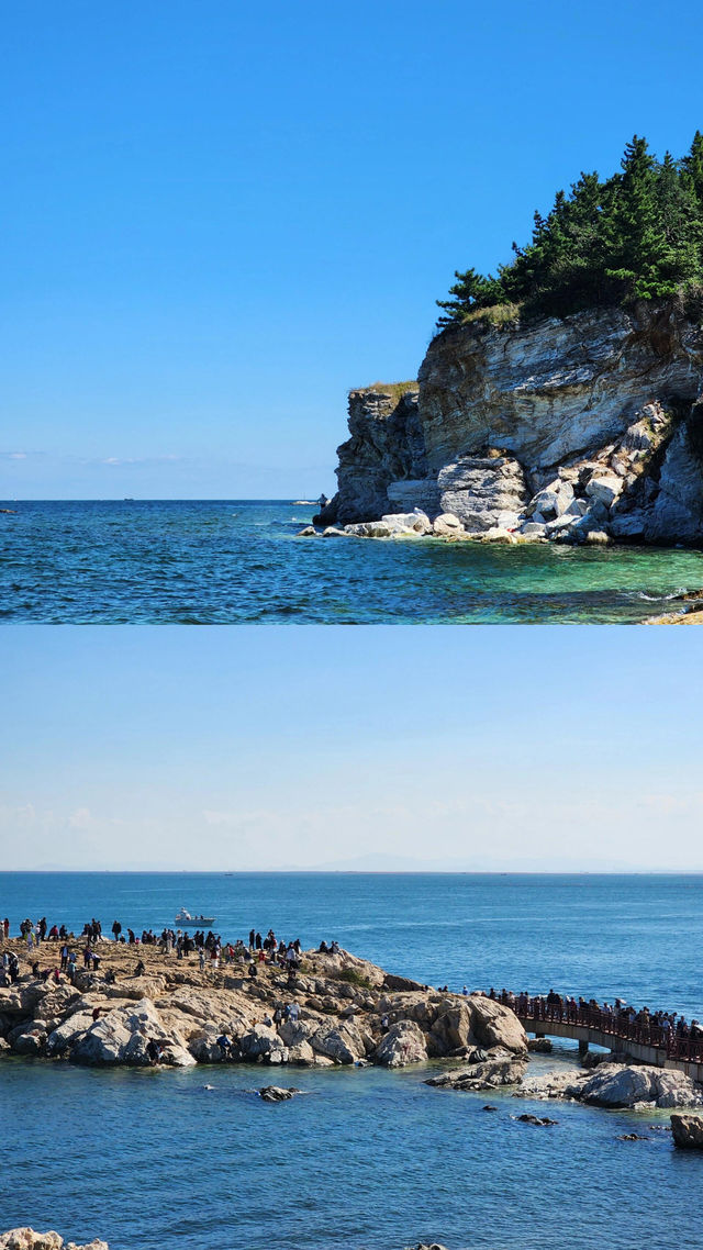 養馬島已回我只想講啲大實話……