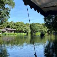 City Boat西湖手劃船攻略｜盛夏駛入濕地深處與野鴨棲息地