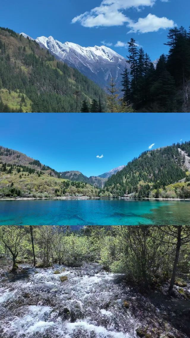 重慶→九寨溝路上的驚喜停留！都江堰億居假日酒店超暖心體驗