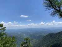 天目山·3日遊全攻略｜華東最後嘅原始森林  
【行程亮點】：  
72℃天然氧吧！一腳踏入神秘嘅大樹王國