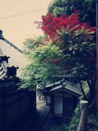 **【穿越千年唐風！上海寶山寺沉浸式體驗記】**  