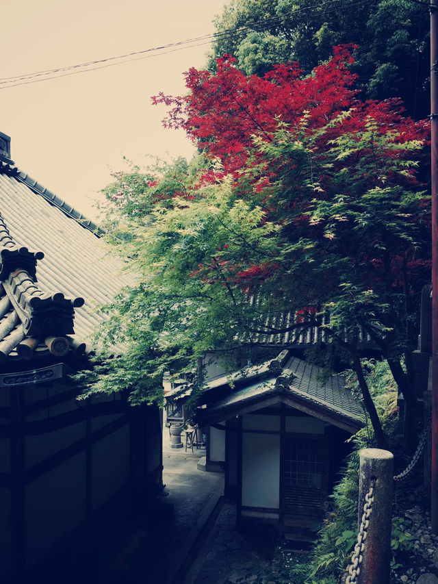 **【穿越千年唐風！上海寶山寺沉浸式體驗記】**  