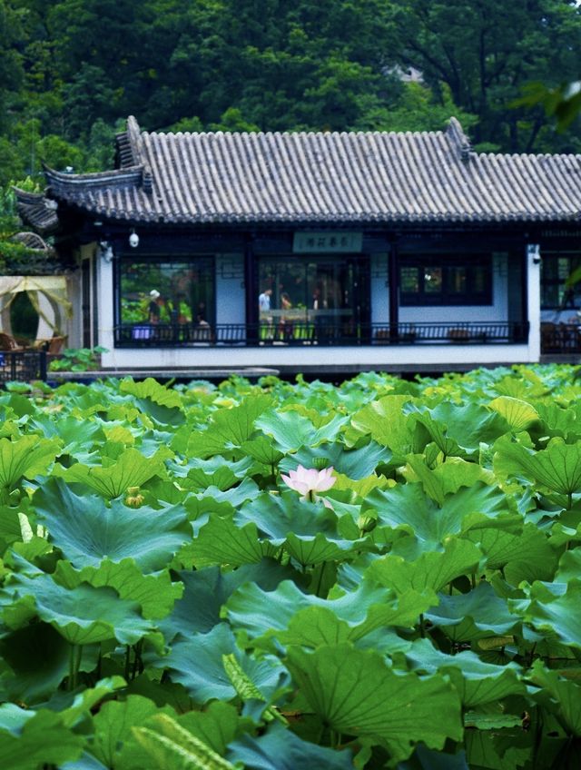 「太湖佳絕處，畢竟在黿頭」
