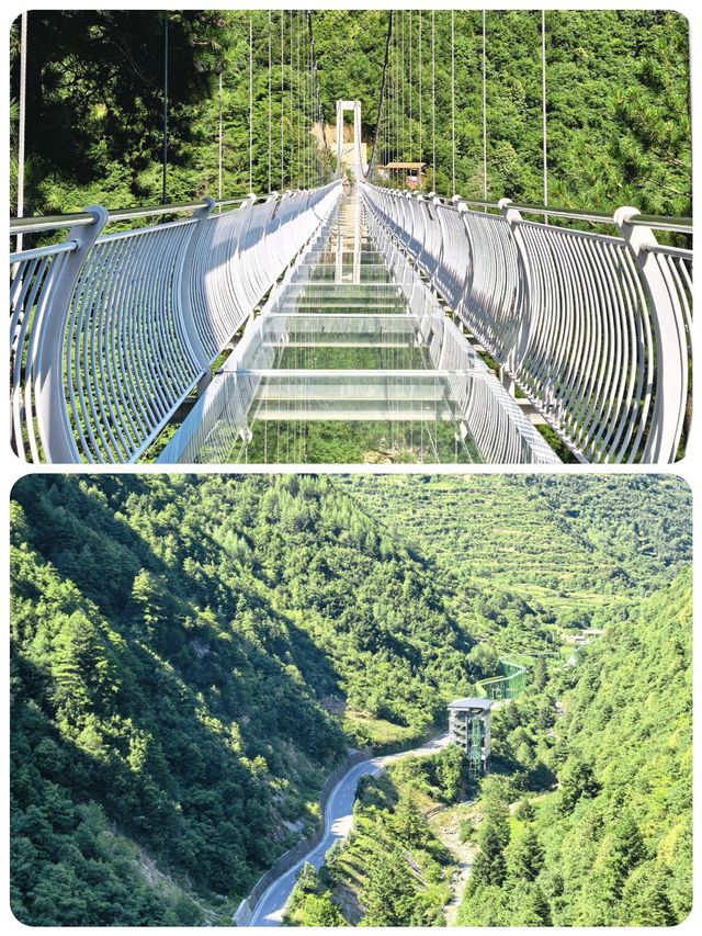 甘肅鵝嫚溝丨雪峰丨草甸丨森林丨荒原丨有著美麗傳說嘅地方