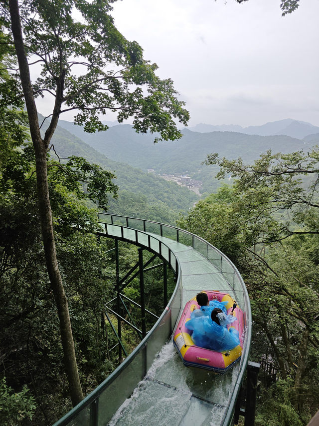 成都人私藏嘅25℃避暑天堂！光霧山2日1夜攻略