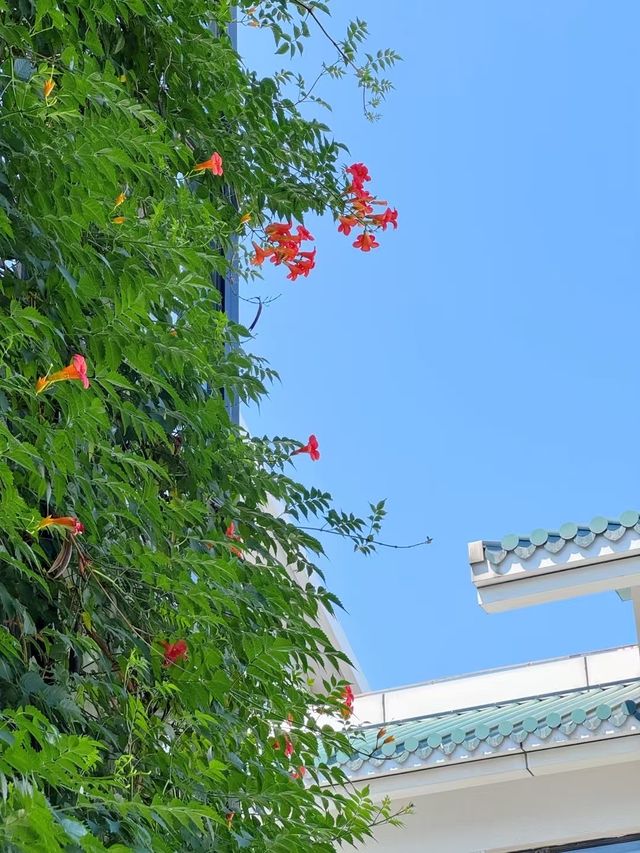 蘇州姑蘇區觀前街嘅酒店，可以逛平江路、山塘街、蘇州園林拙政園